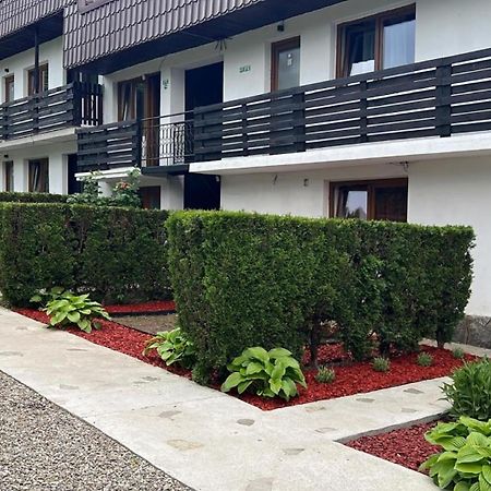 Pensiunea Bavaria Câmpina Exterior foto