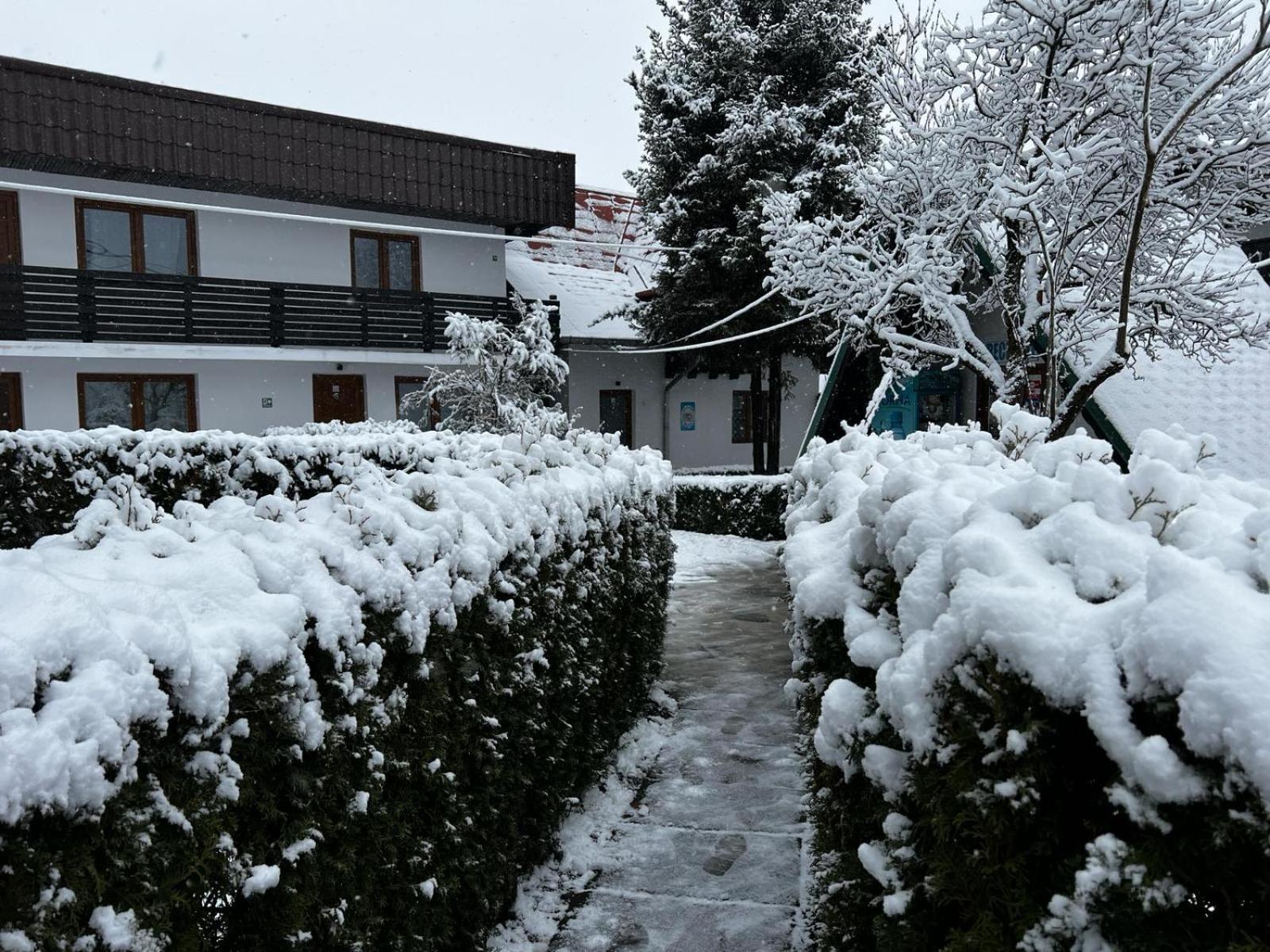 Pensiunea Bavaria Câmpina Exterior foto
