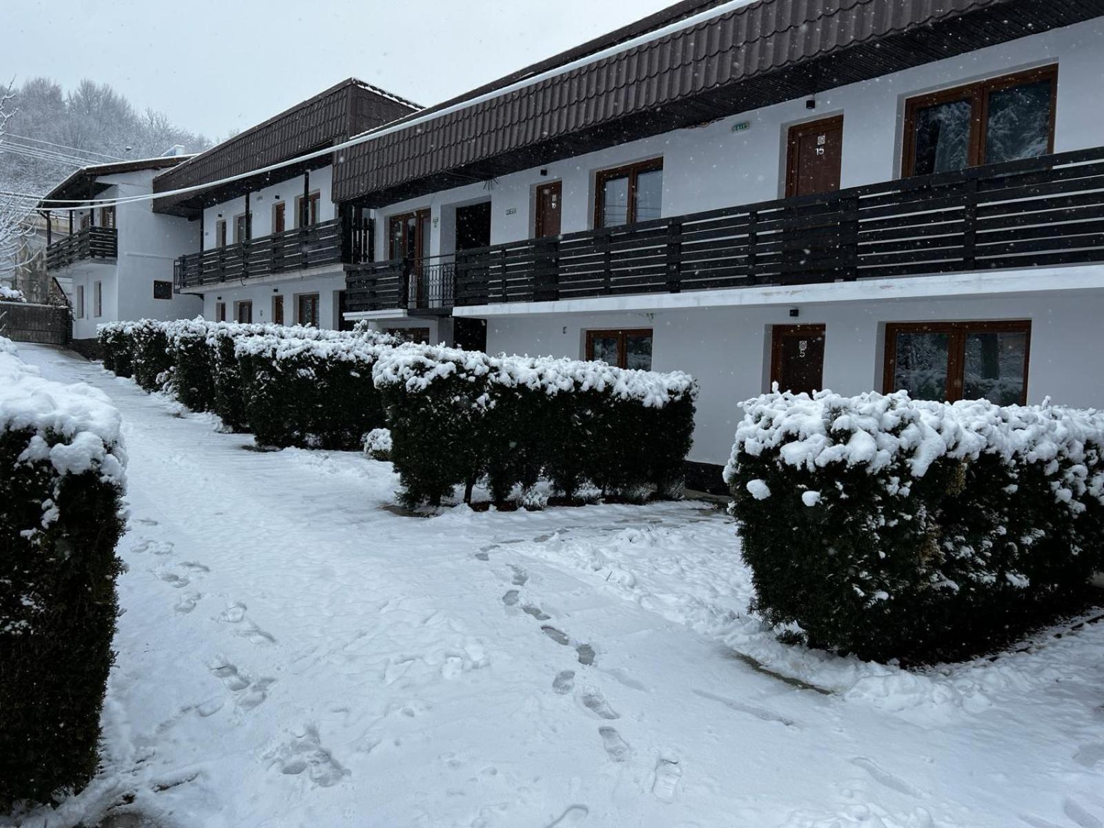 Pensiunea Bavaria Câmpina Exterior foto