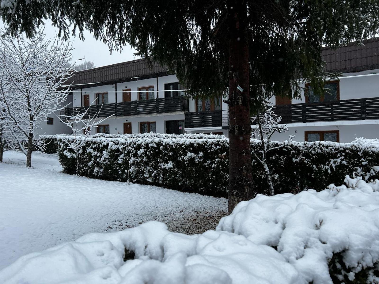 Pensiunea Bavaria Câmpina Exterior foto